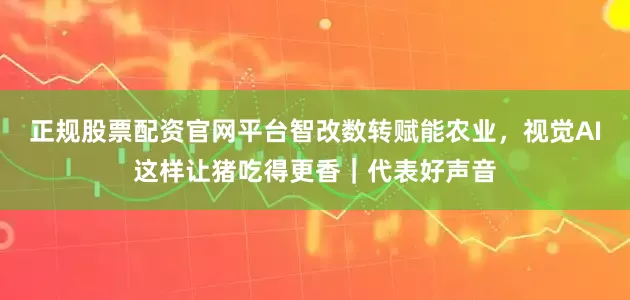 正规股票配资官网平台智改数转赋能农业，视觉AI这样让猪吃得更香｜代表好声音